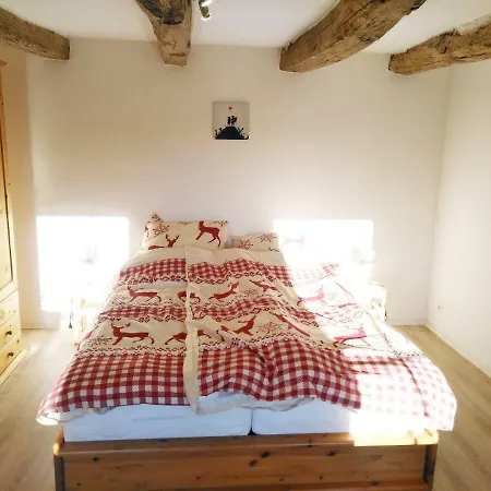 Grosse Bis 100qm Mit E-bike-verleih Apartmán