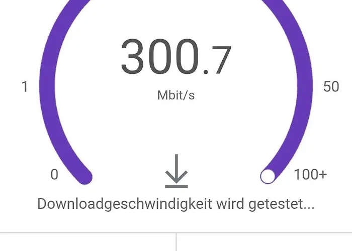 Appartement Grosse Bis 100qm Mit E-bike-verleih