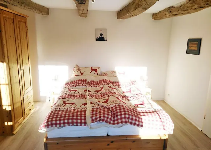 Grosse Bis 100qm Mit E-bike-verleih Appartement